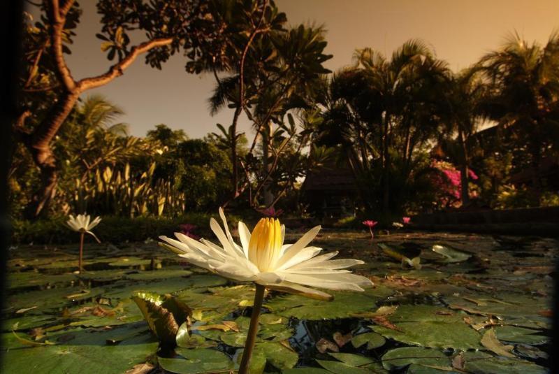 Pondok Sari Beach Bungalow Pemuteran Dış mekan fotoğraf