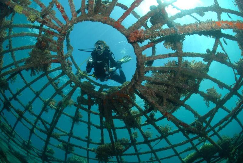 Pondok Sari Beach Bungalow Pemuteran Dış mekan fotoğraf